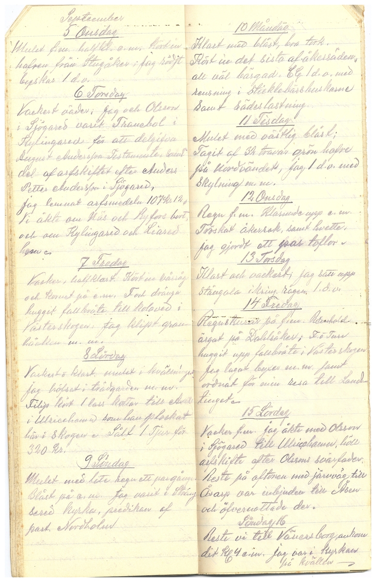 Gullereddagboken 1917 3