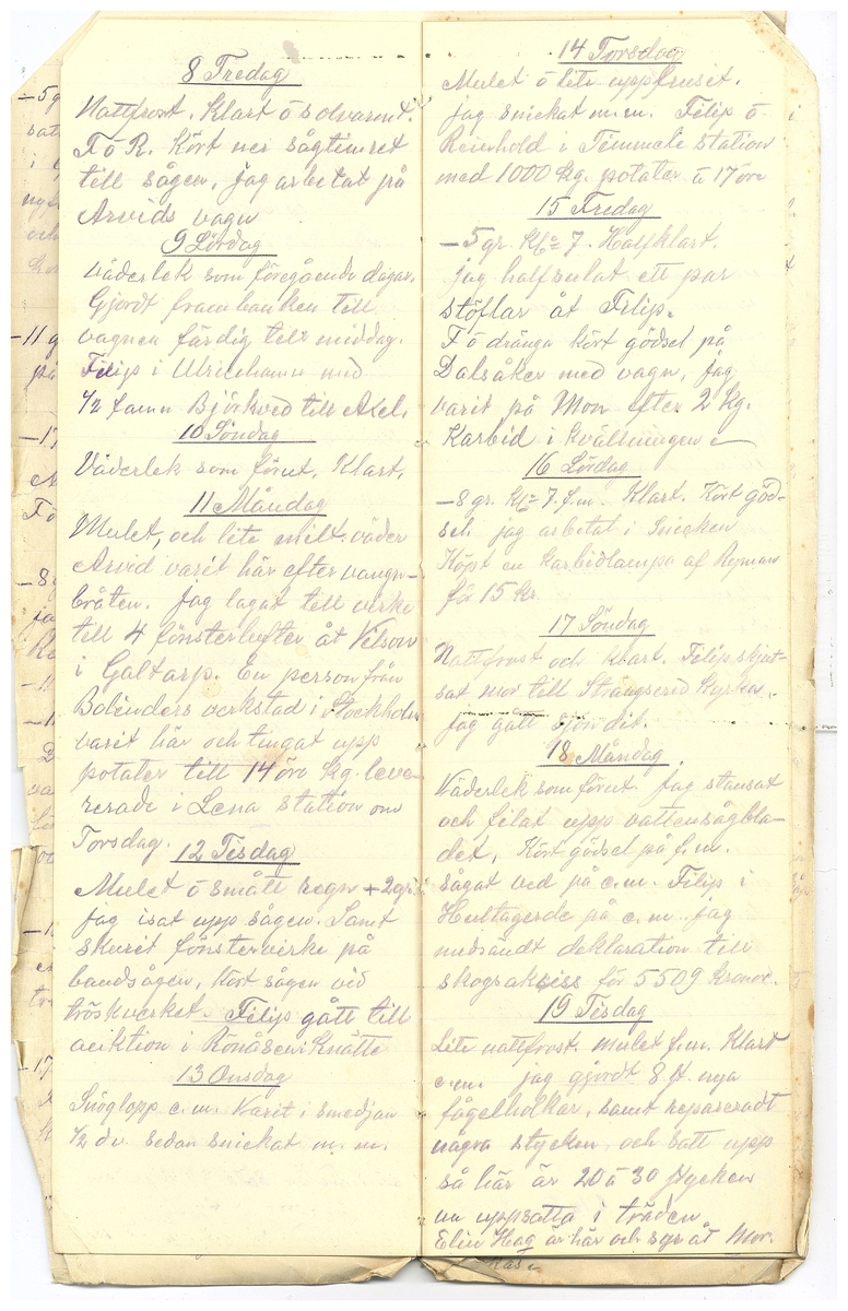 Gullereddagboken 1918 2