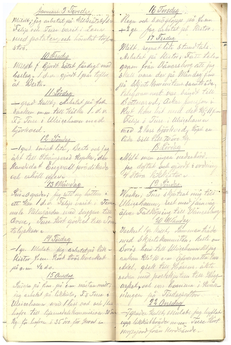 Gullereddagboken 1919 2
