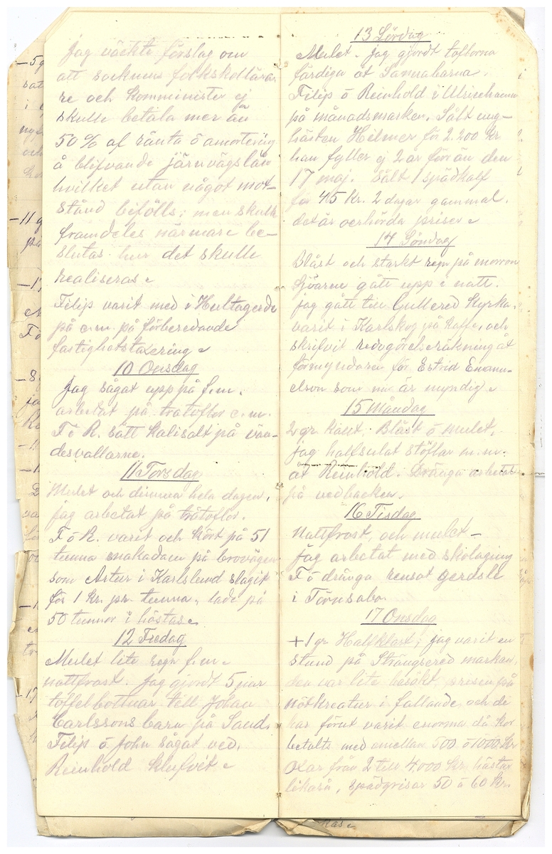 Gullereddagboken 1918 2