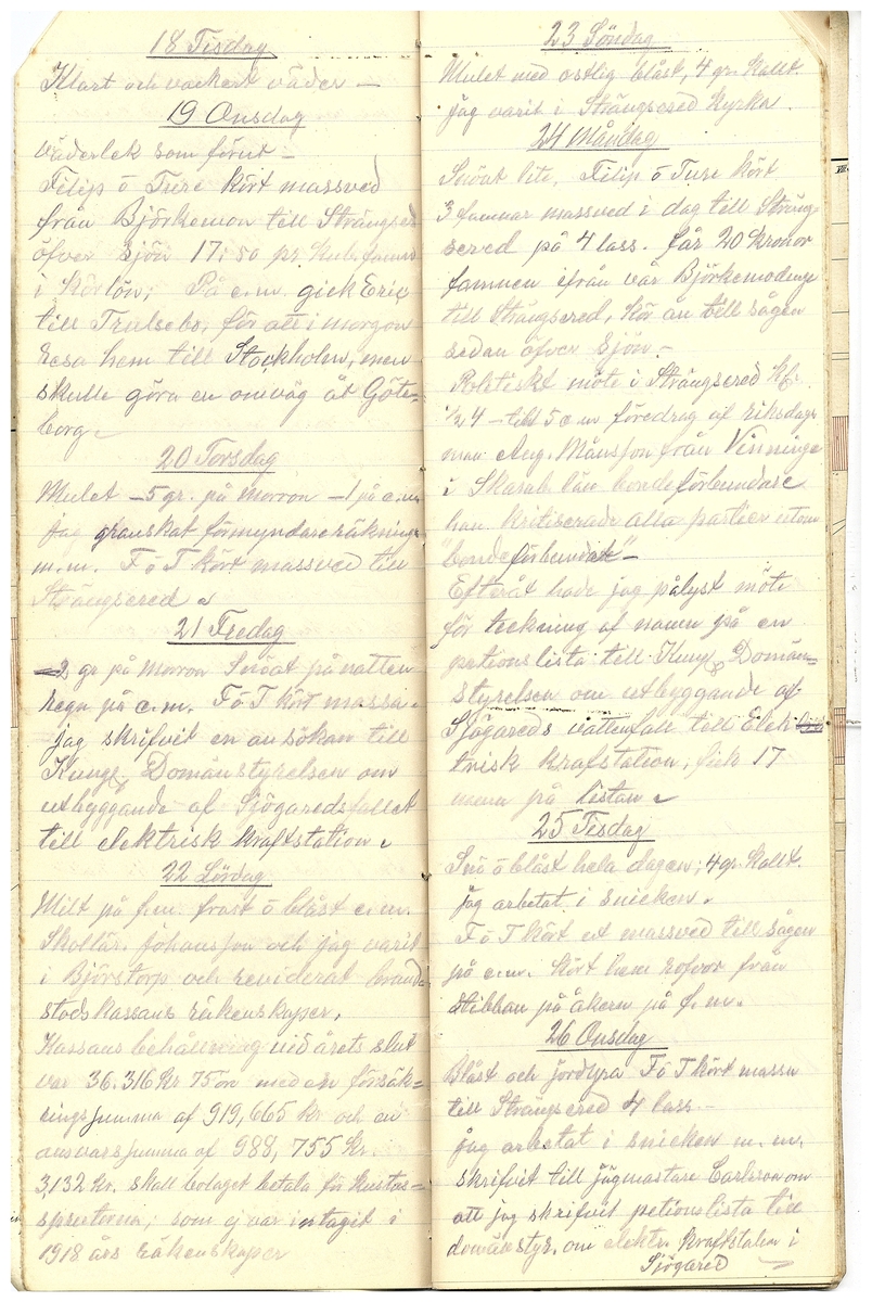 Gullereddagboken 1919 2