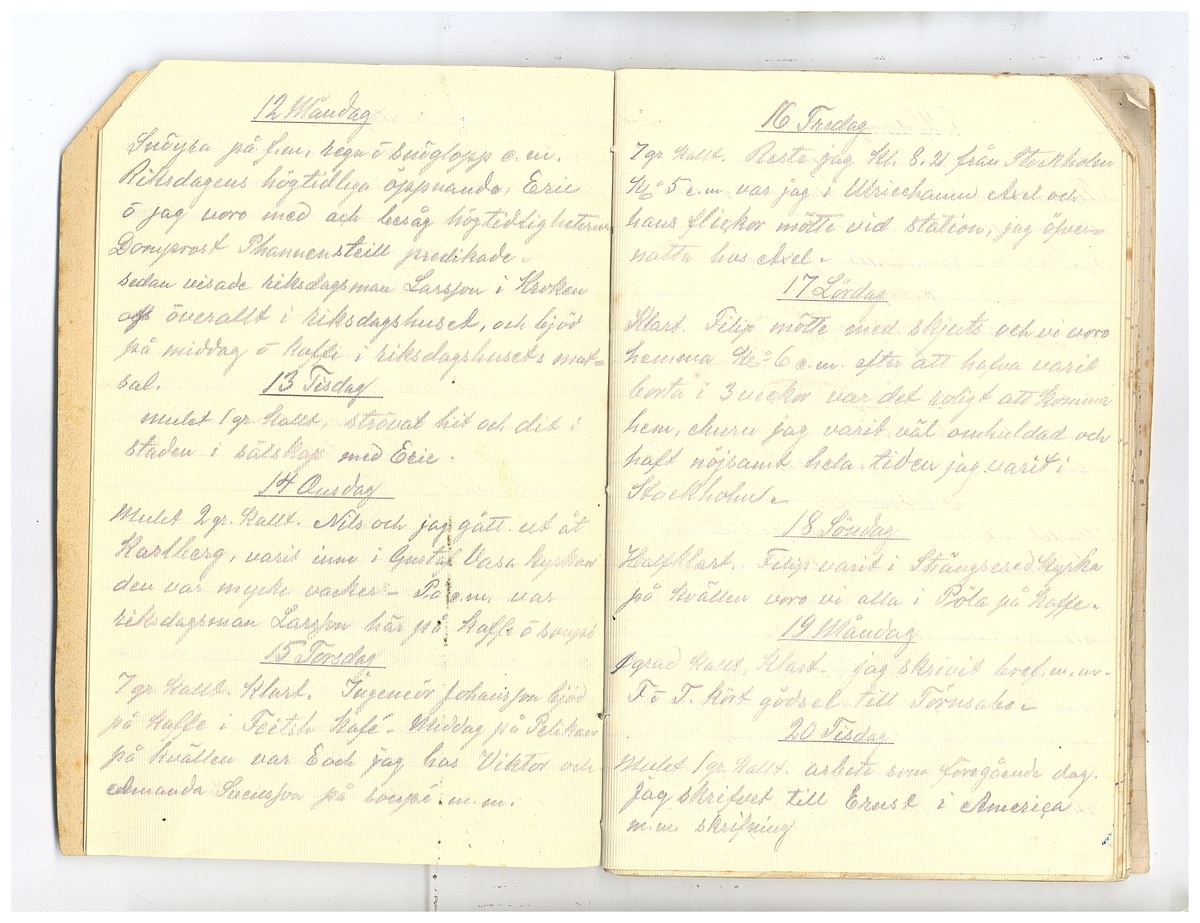 Gullereddagboken 1920 2