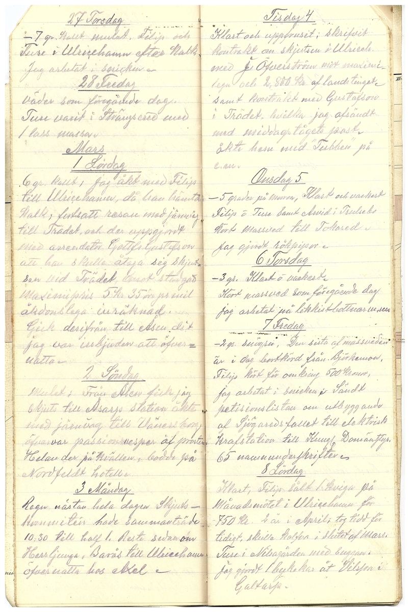 Gullereddagboken 1919 2
