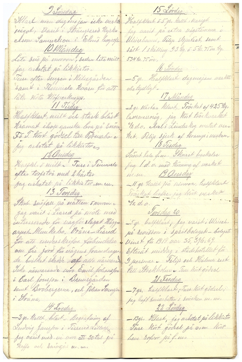 Gullereddagboken 1919 2