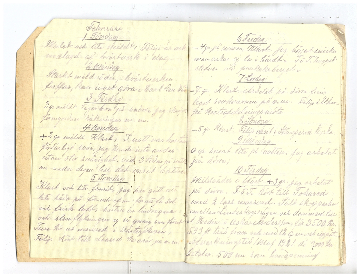 Gullereddagboken 1920 2