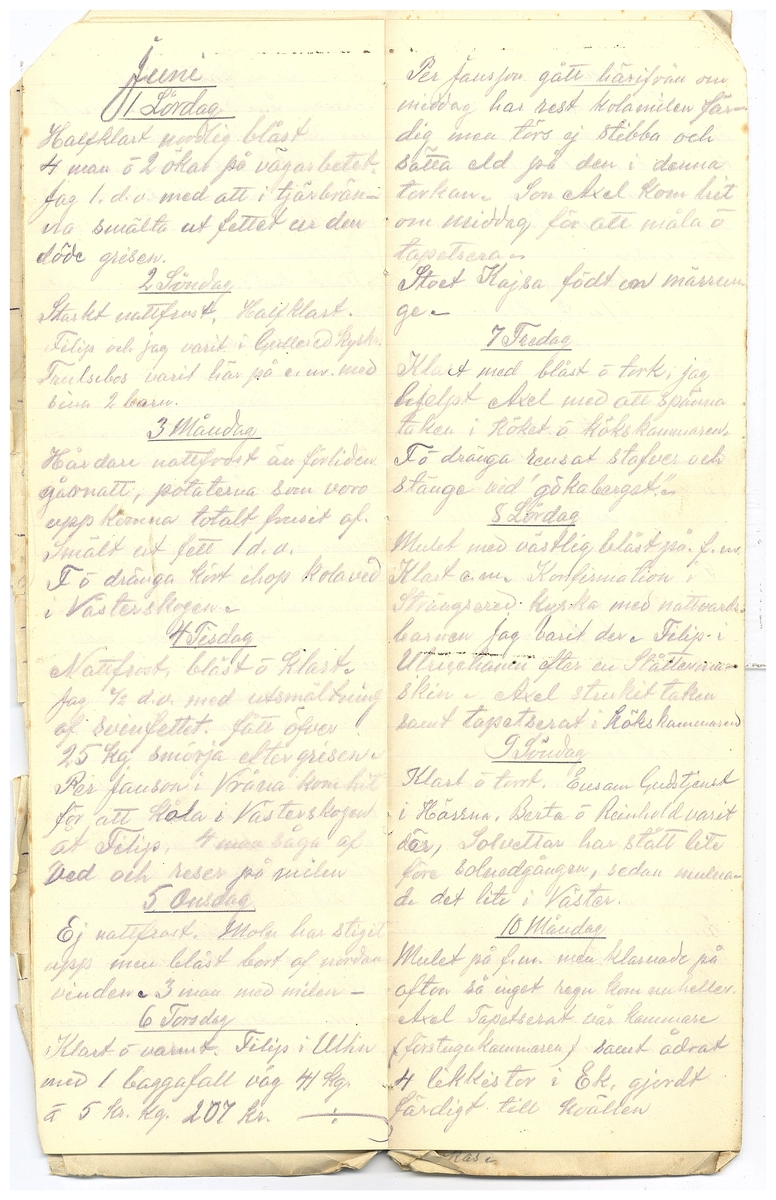 Gullereddagboken 1918 2