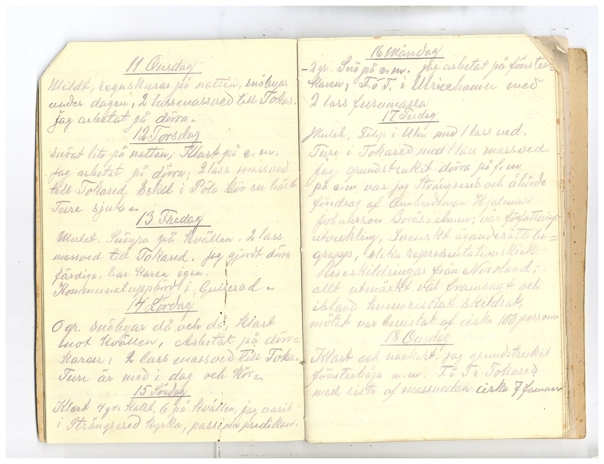 Gullereddagboken 1920 2