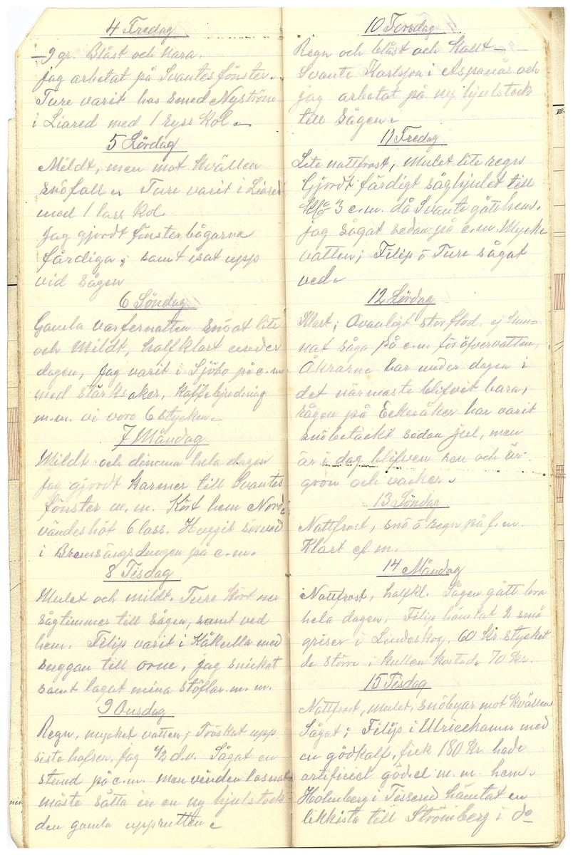 Gullereddagboken 1919 2
