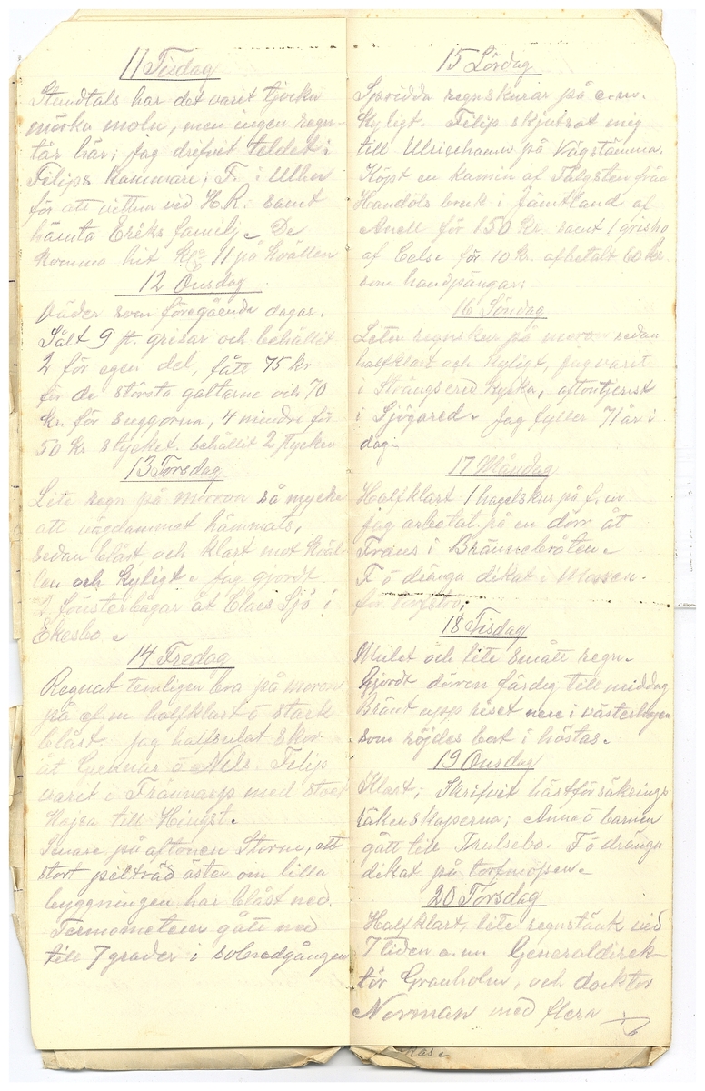 Gullereddagboken 1918 2