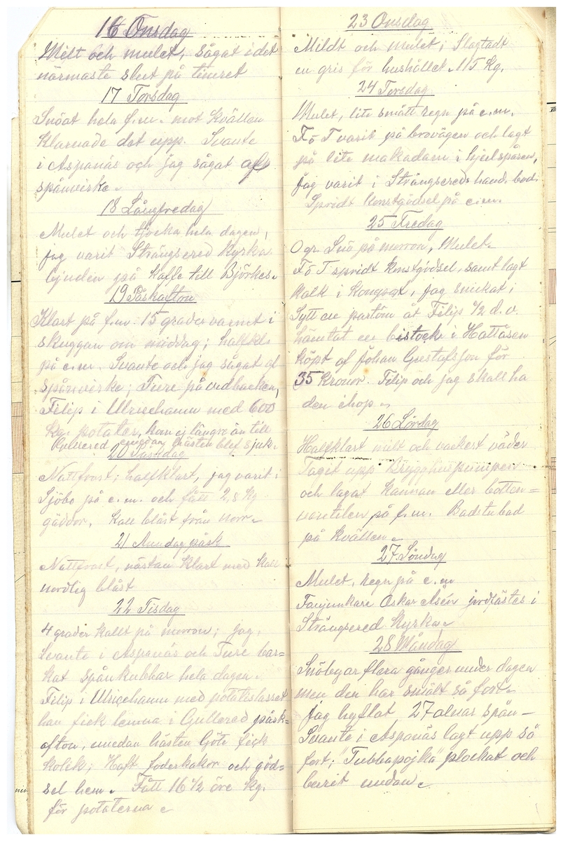 Gullereddagboken 1919 2