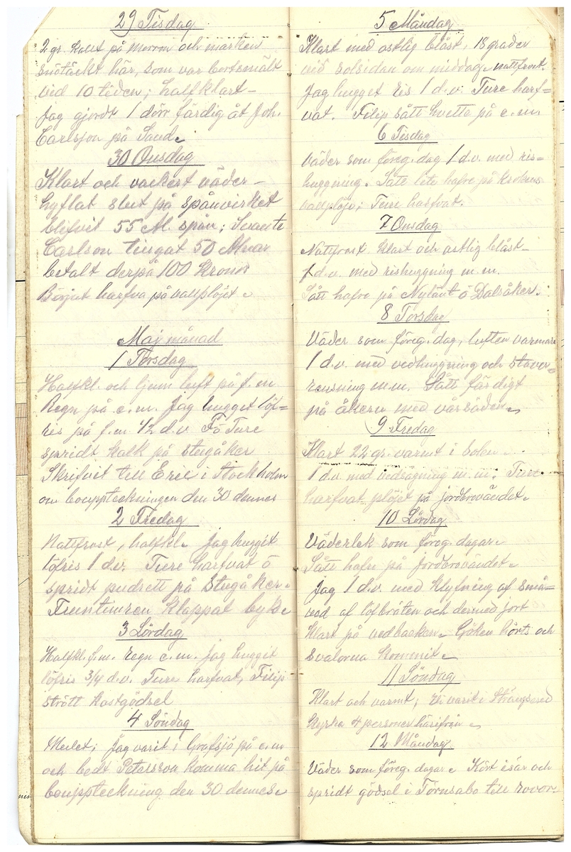 Gullereddagboken 1919 2