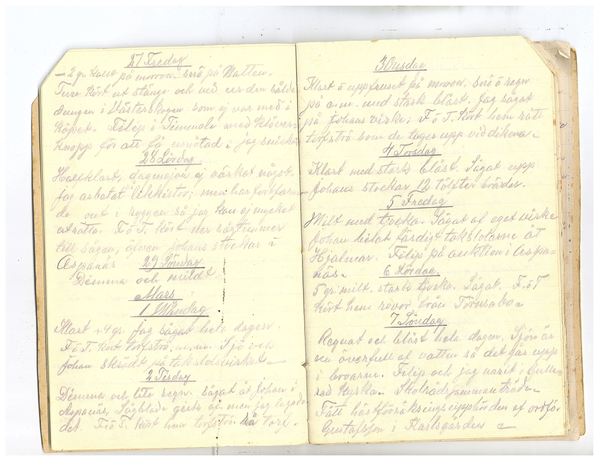 Gullereddagboken 1920 2