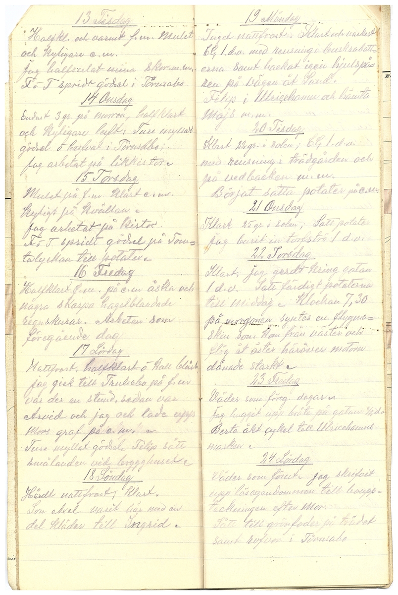 Gullereddagboken 1919 2