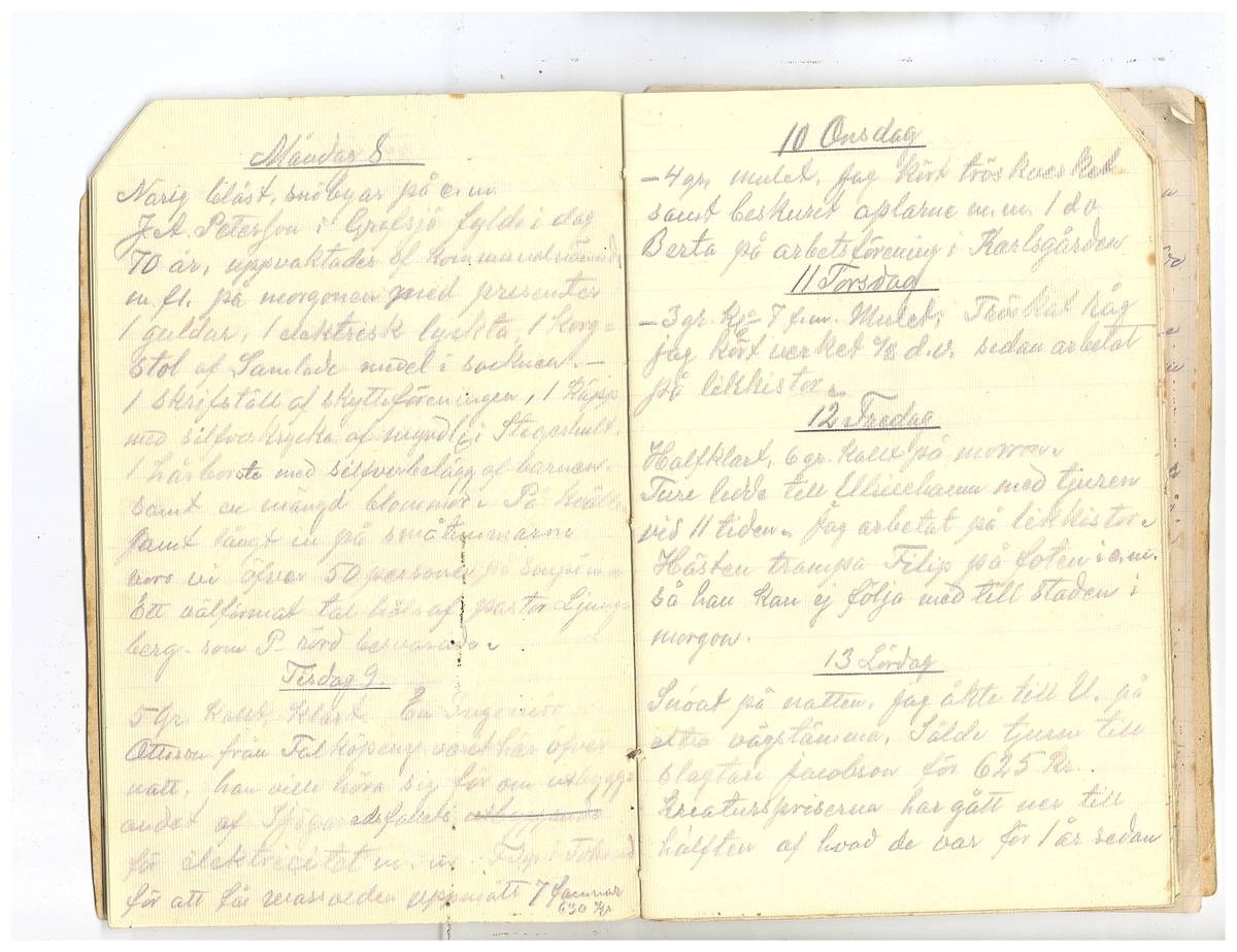 Gullereddagboken 1920 2