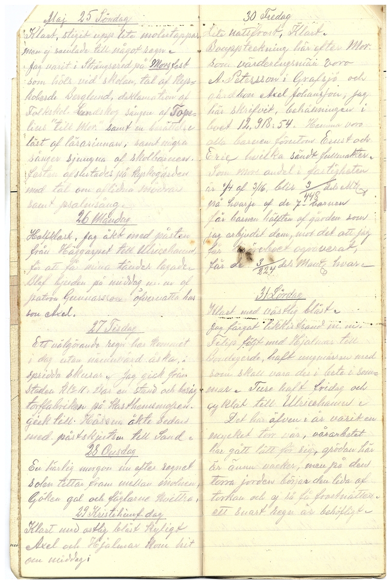 Gullereddagboken 1919 2