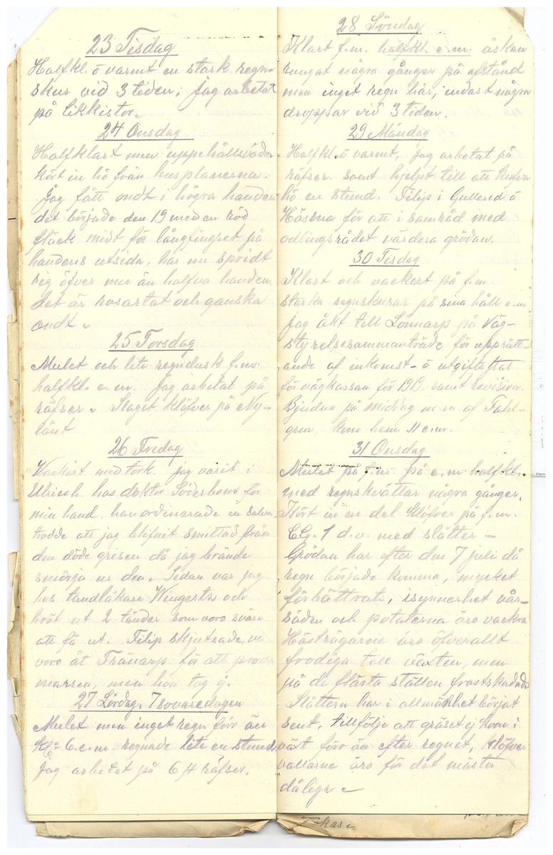 Gullereddagboken 1918 2