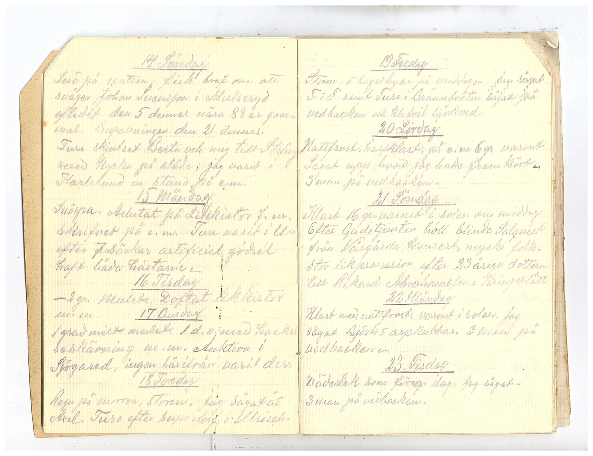 Gullereddagboken 1920 2