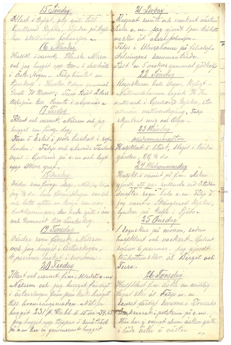Gullereddagboken 1919 2