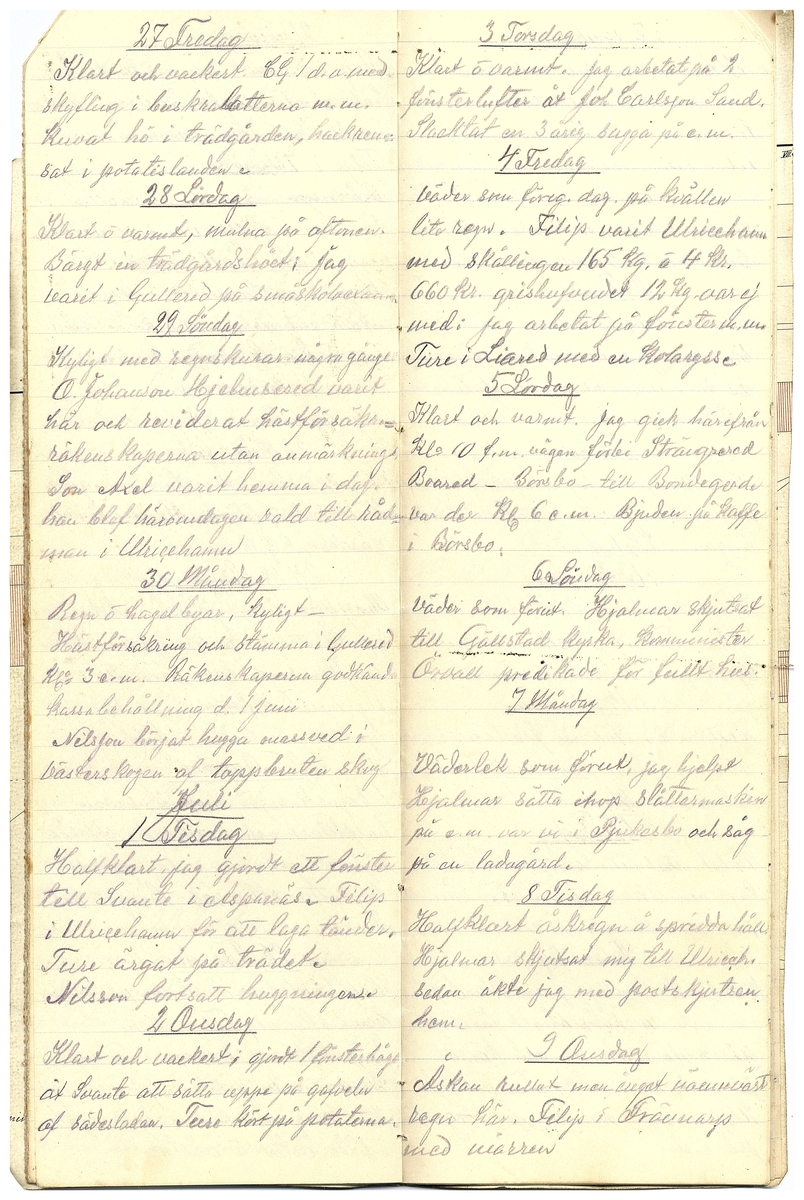 Gullereddagboken 1919 2