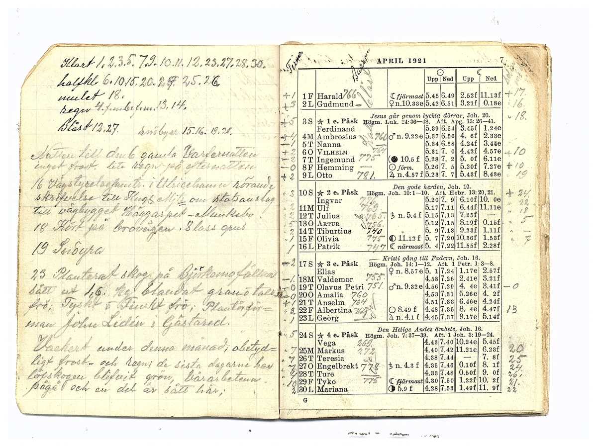 Gullereddagboken 1921