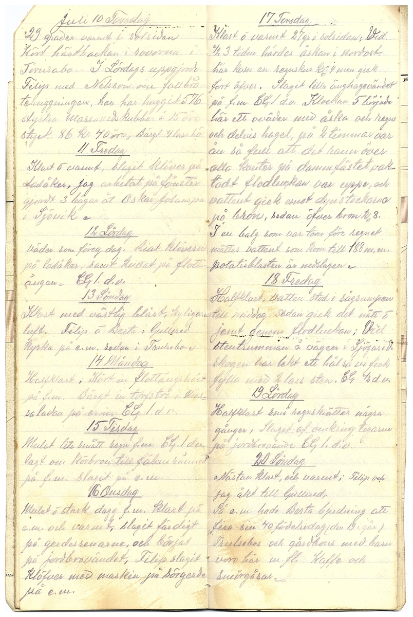 Gullereddagboken 1919 2