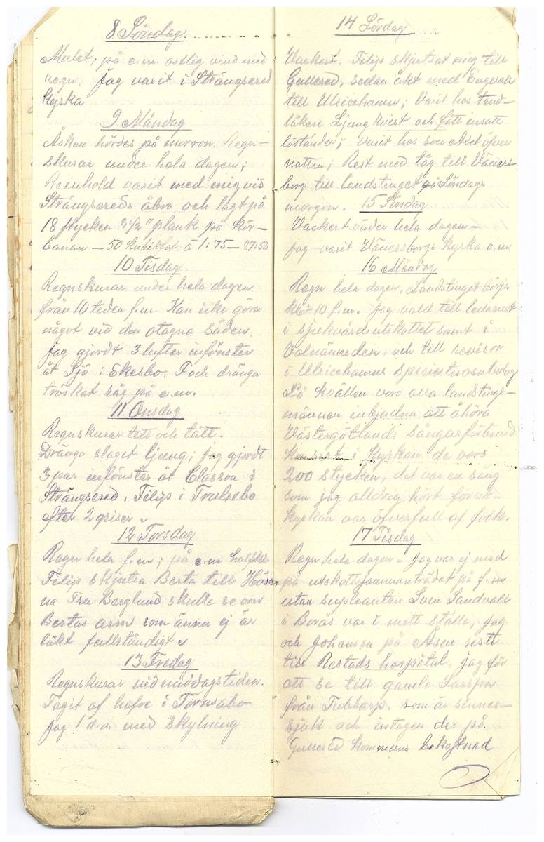 Gullereddagboken 1918 2