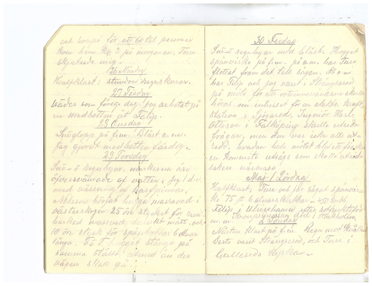 Gullereddagboken 1920 2
