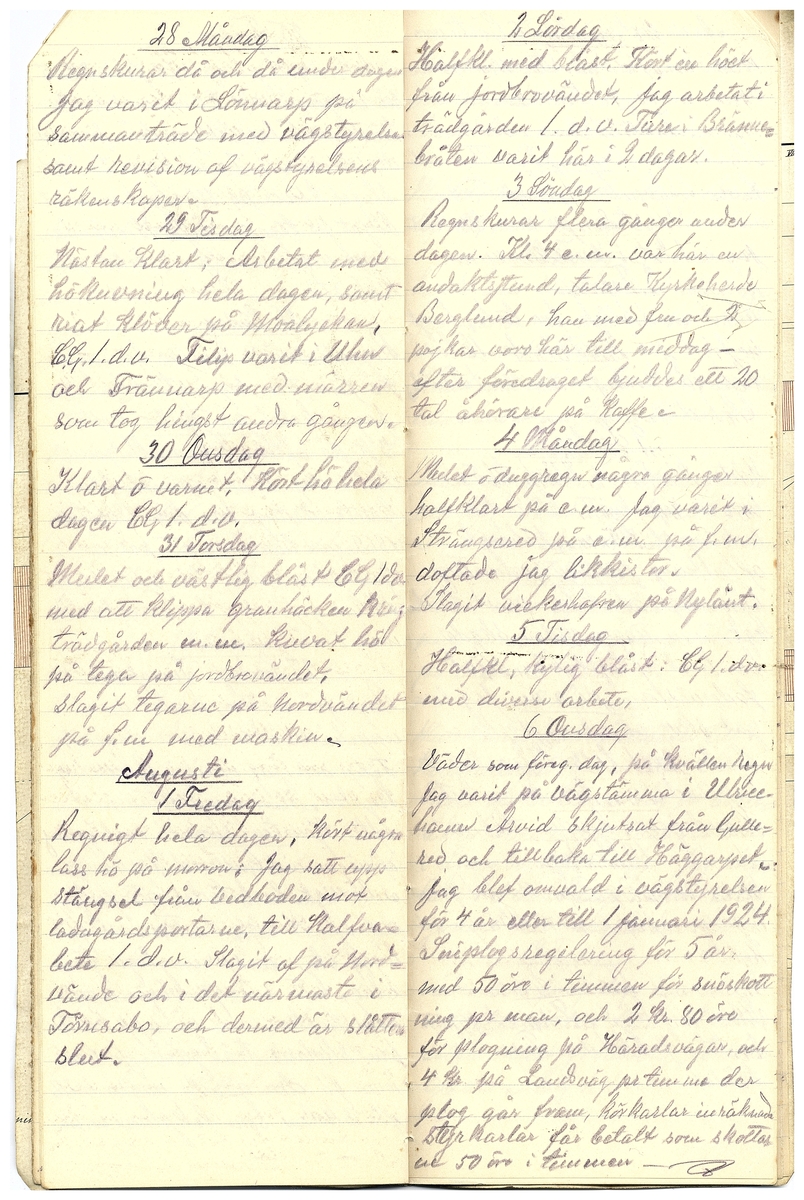 Gullereddagboken 1919 2