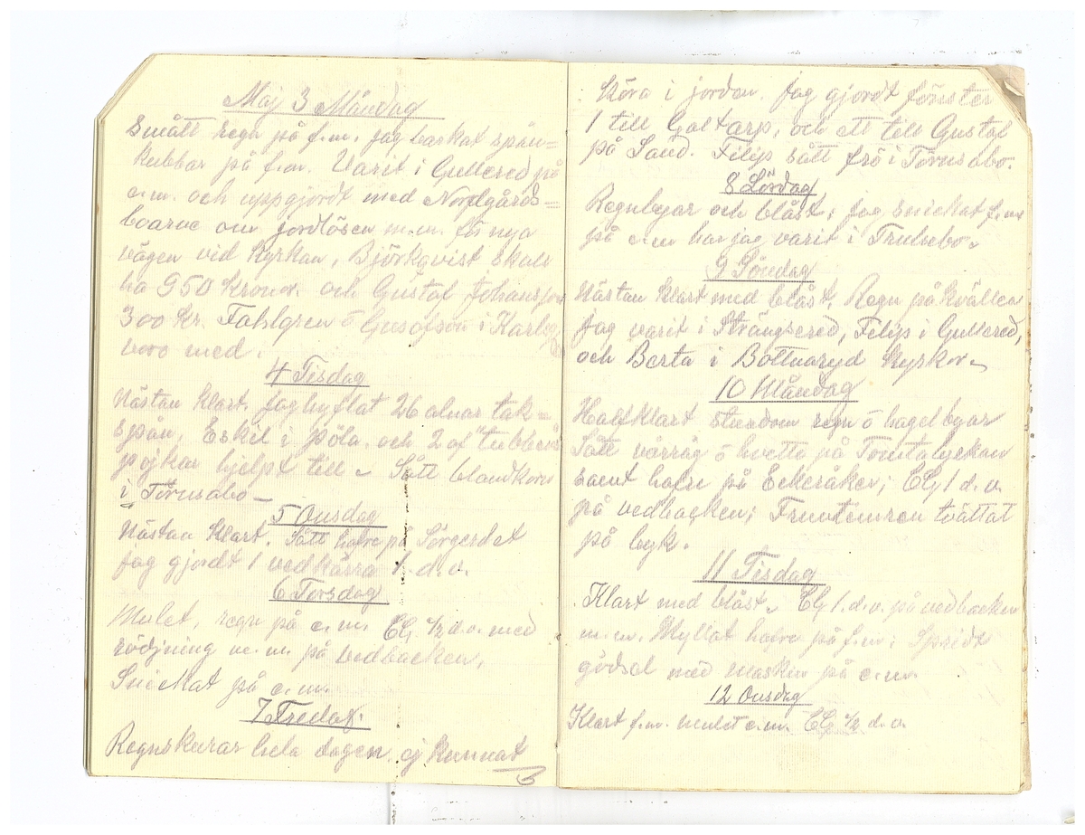 Gullereddagboken 1920 2