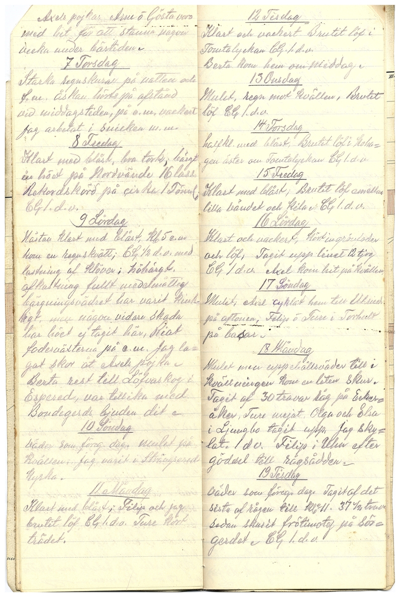 Gullereddagboken 1919 2