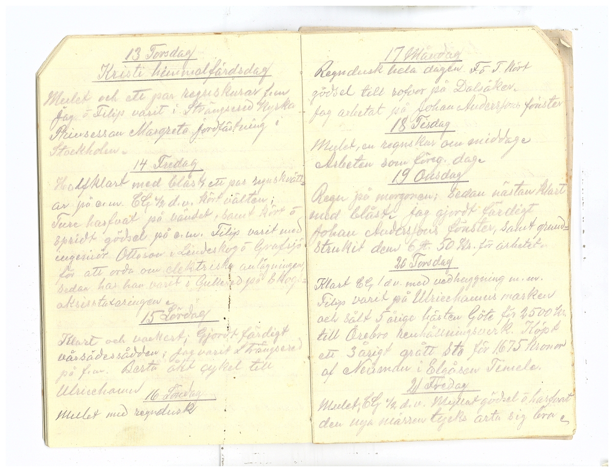 Gullereddagboken 1920 2