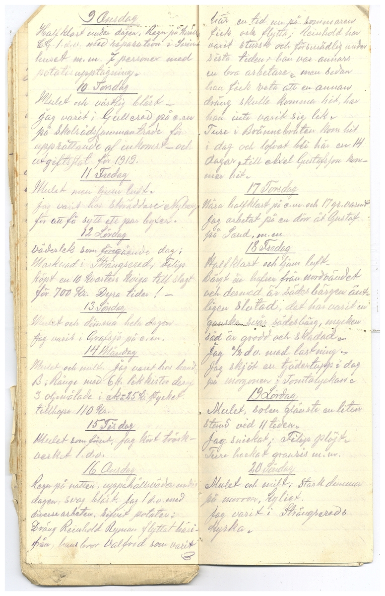 Gullereddagboken 1918 2