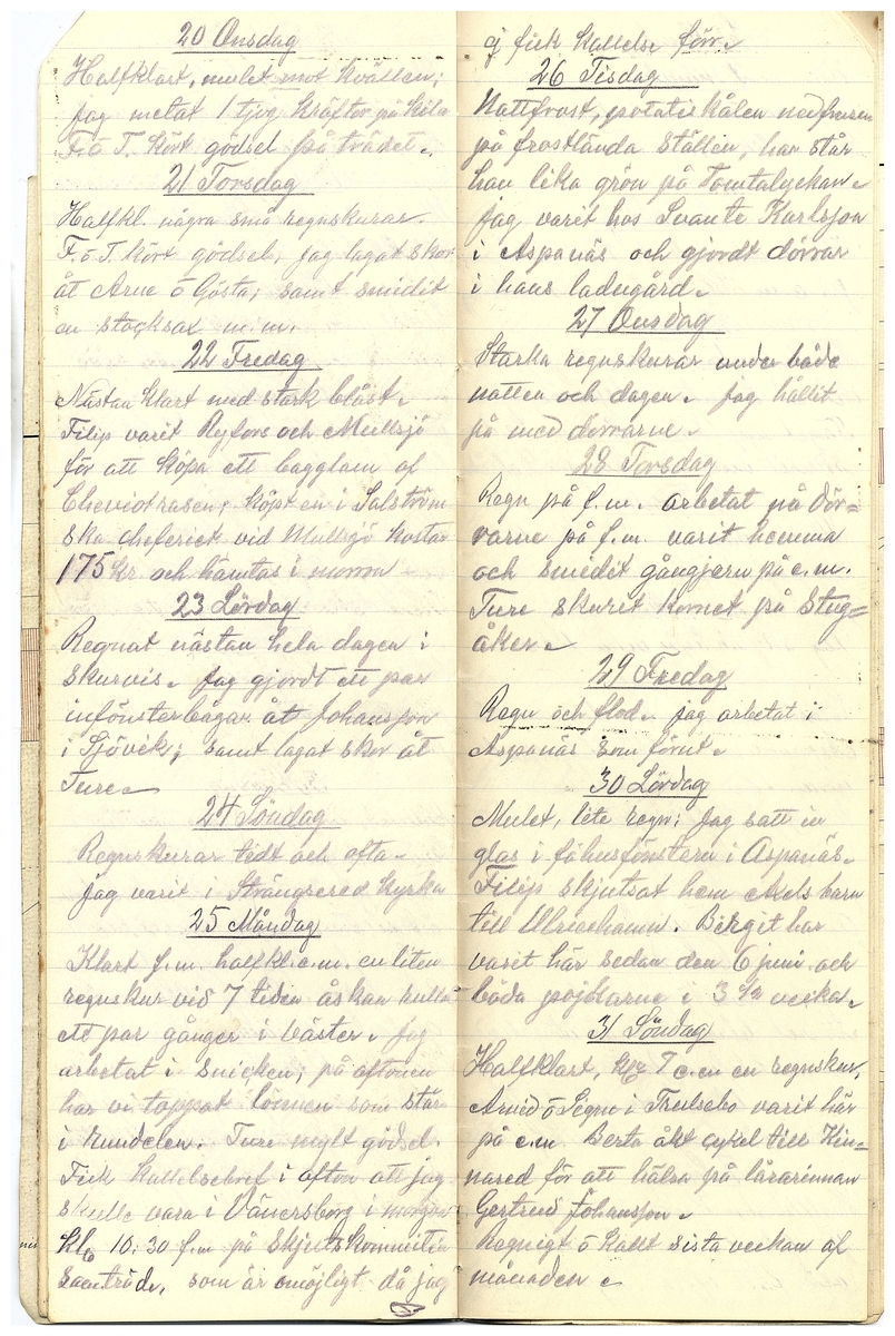 Gullereddagboken 1919 2