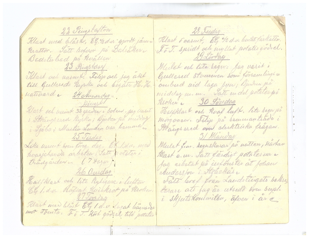 Gullereddagboken 1920 2