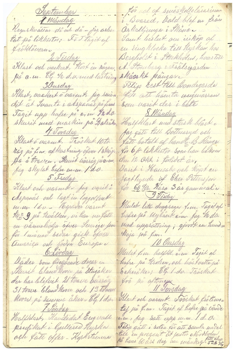 Gullereddagboken 1919 2