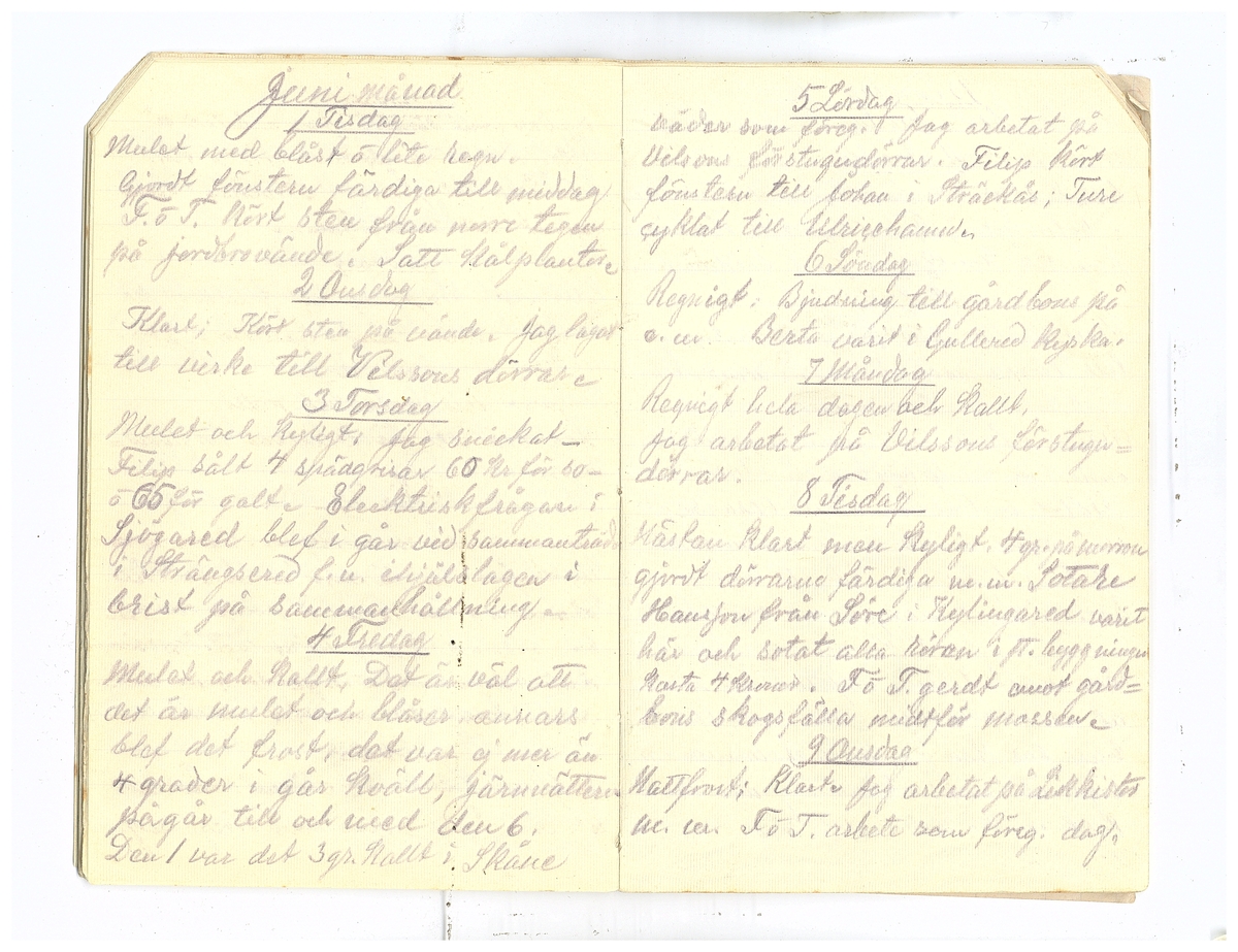 Gullereddagboken 1920 2
