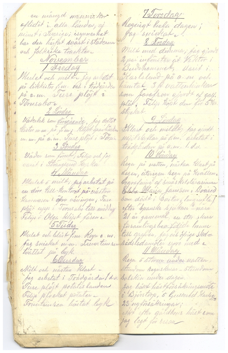 Gullereddagboken 1918 2