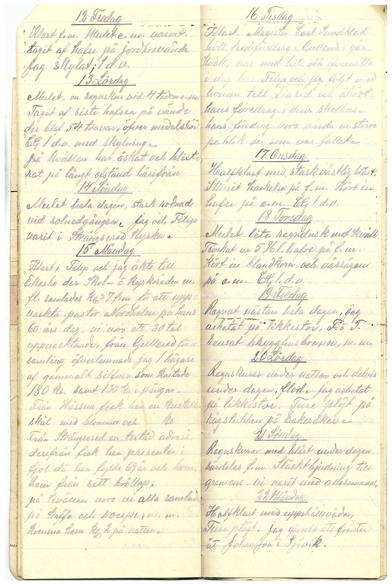 Gullereddagboken 1919 2