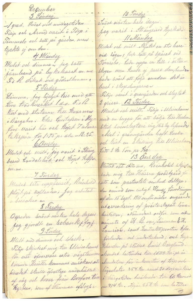 Gullereddagboken 1916 3