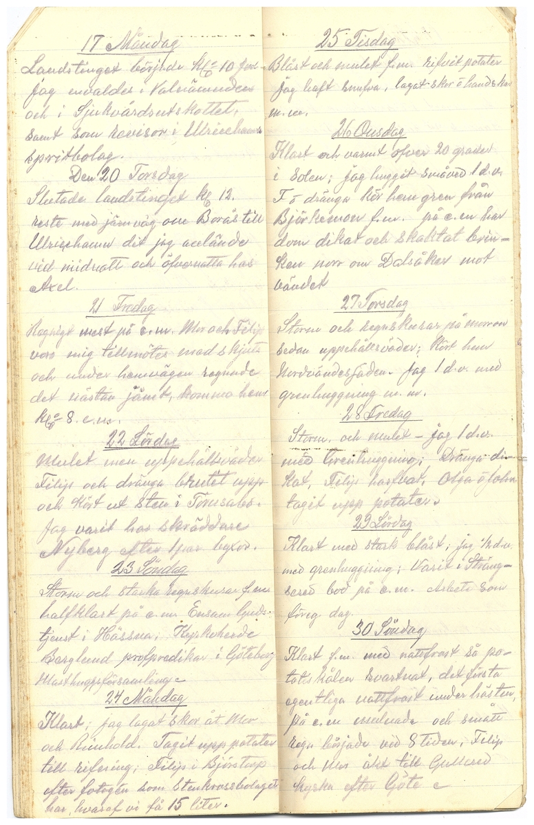 Gullereddagboken 1917 3
