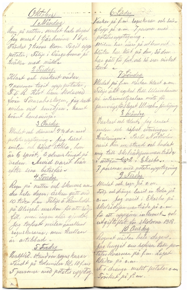 Gullereddagboken 1917 3