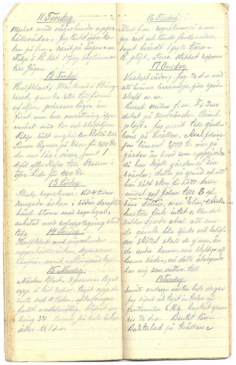 Gullereddagboken 1917 3