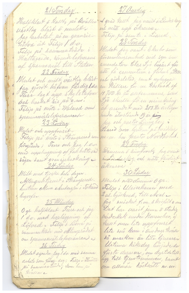 Gullereddagboken 1918 2