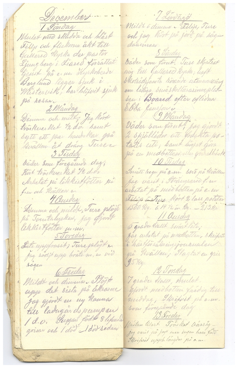 Gullereddagboken 1918 2