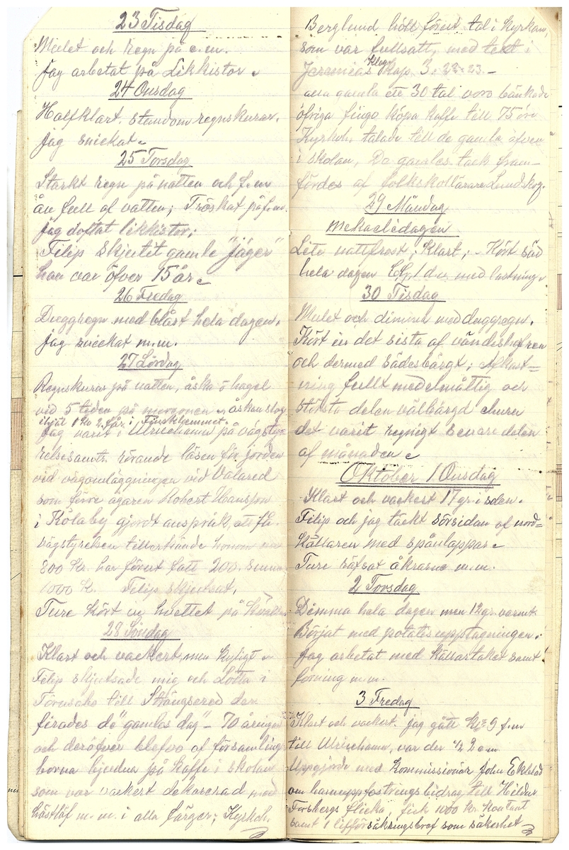 Gullereddagboken 1919 2