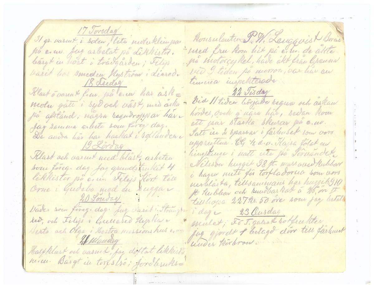 Gullereddagboken 1920 2