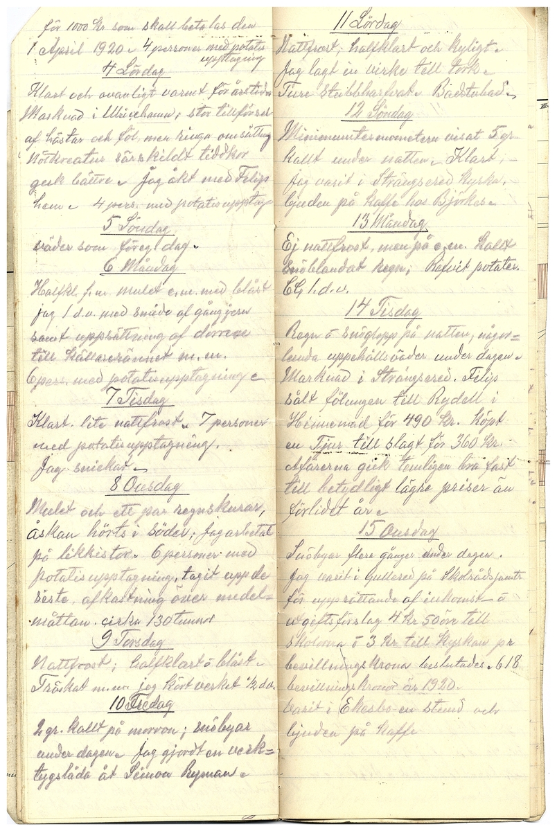 Gullereddagboken 1919 2