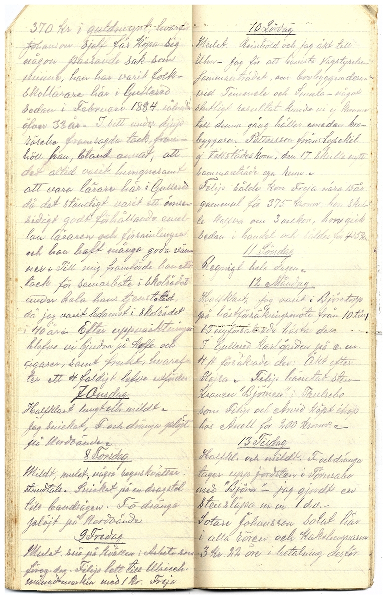 Gullereddagboken 1917 3