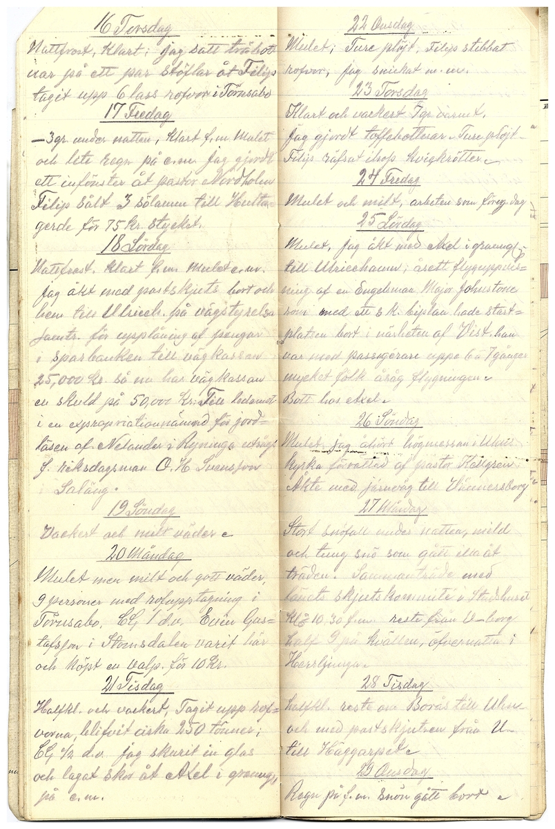 Gullereddagboken 1919 2