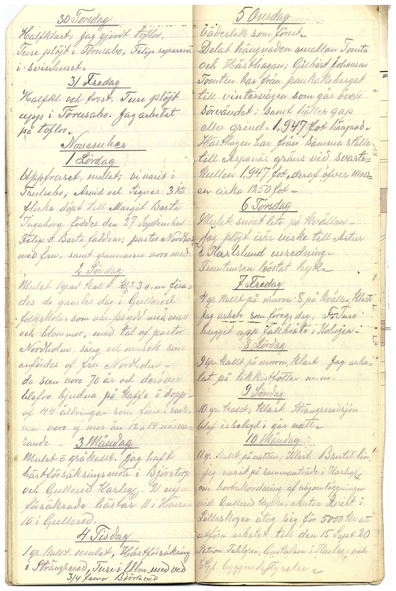 Gullereddagboken 1919 2